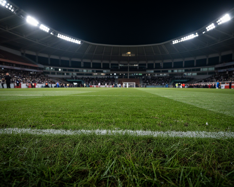 Cinematic Stadium Atmosphere